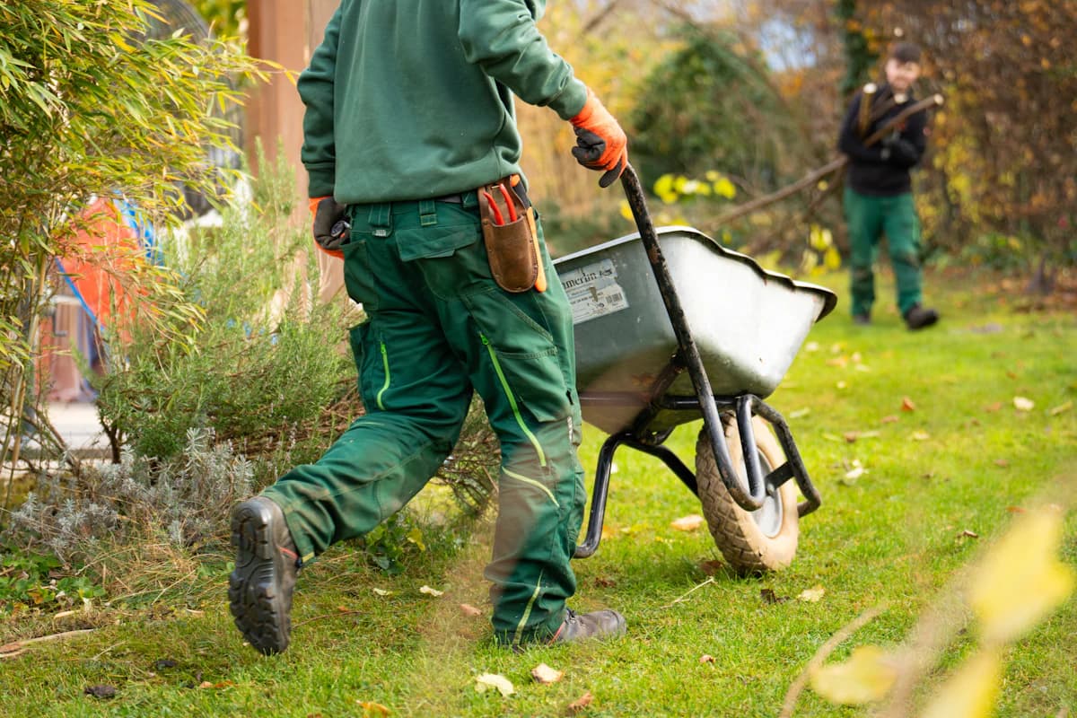 Tuinaannemer legt een nieuwe tuin aan met terras en beplanting
